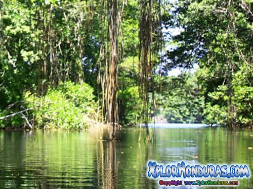 Lugares bellos de Honduras Laguna de Cacao