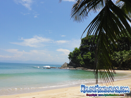 Lugares bellos de HondurasParque Nacional Jeannette Kawas Punta Sal