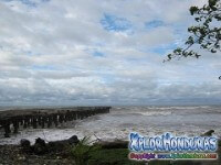 Marea Alta en Mar de La Ceiba Video