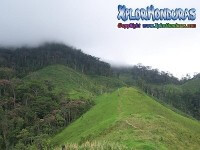 Montañas mas altas de Honduras