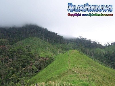 Montanas de Honduras