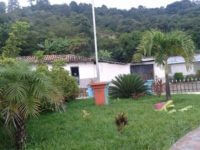 San Antonio de Flores El Paraiso