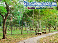 Parque Arqueologico Curruste