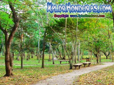 Parque Arqueologico Curruste San Pedro Sula Parque Arqueologico Curruste San Pedro Sula