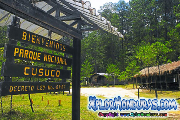 Parque Nacional Cusuco