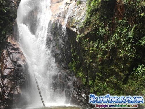 Parque Nacional Cuyamel Omoa (Panaco) Honduras