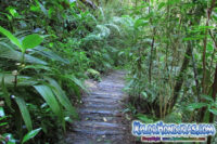 Parque Nacional la Tigra
