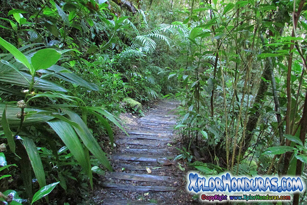 Parque Nacional la Tigra Parque Nacional la Tigra