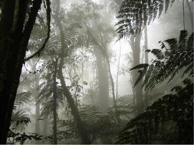 Parque Nacional Montana de Santa Barbara