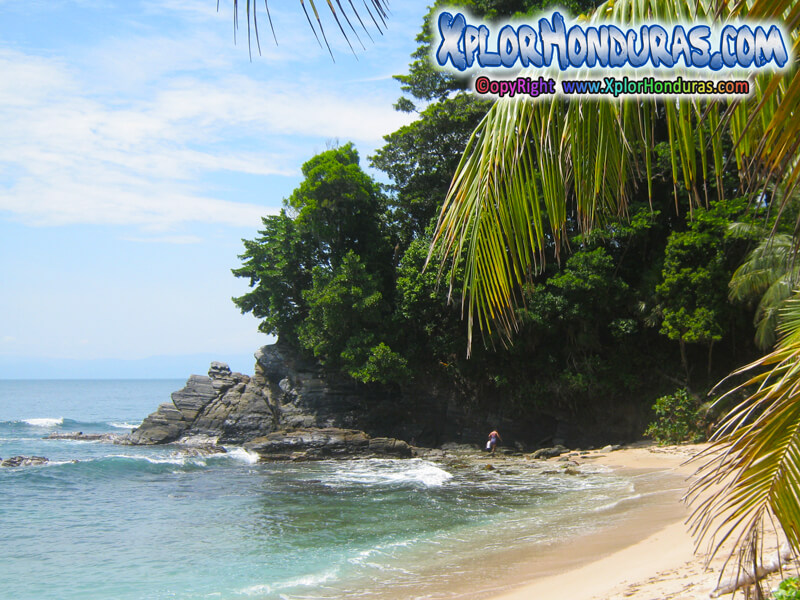 Parque nacional Punta Sal, Jeannette Kawas. Tela (Fotos)