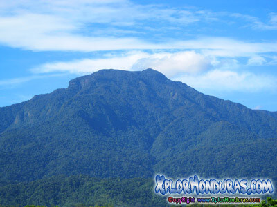 Parques Nacionales de Honduras Parque Nacional Nombre de Dios montanas mas altas de honduras Parque Nacional Nombre de Dios