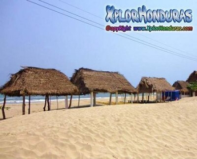 Playas de Peru La Ceiba Playas de Peru La Ceiba