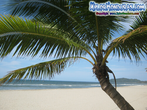 Playas de Tela Atlantida Honduras