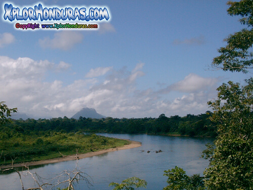 Reserva de La Biosfera del Rio Platano Honduras