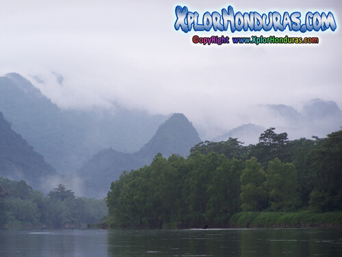 Reserva de La Biosfera del Rio Platano Honduras