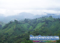 Sierra Cordillera o Montaña